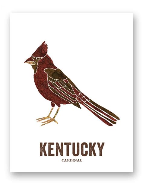 Kentucky State Bird Nature Art Outdoor Art Vintage Map Art - Etsy