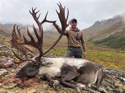 Horseback Barren Ground Caribou Hunt in the Alaska Range