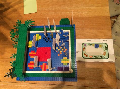 Year 7 Lego model of a plant cell | Plant cell project, Cells project ...