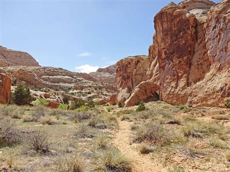 The Grand Wash Trail via Capitol Reef Scenic Drive