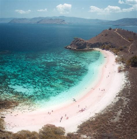 Pink Beach Komodo Island - Pink Sand Beach and Epic Snorkeling – We ...