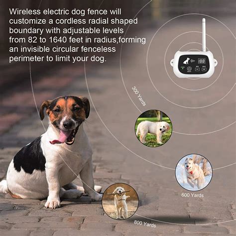 KD661-wireless dog fence training system wireless fence for large dogs