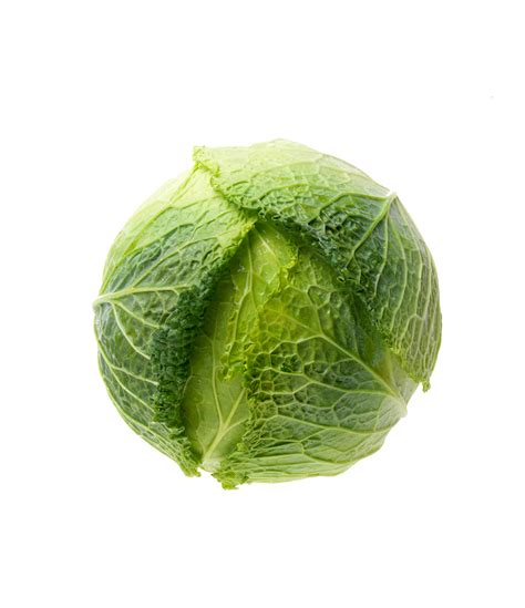 Savoy Cabbage | What is Savoy Cabbage? | Image | LettuceInfo.org