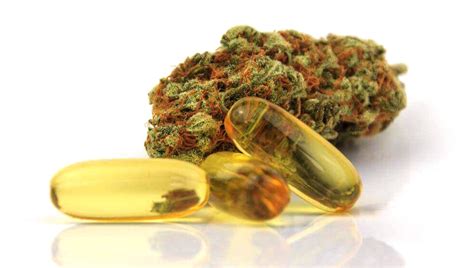 Reasons To Try A Cannabis Sativa Capsule - Americasnewbomber