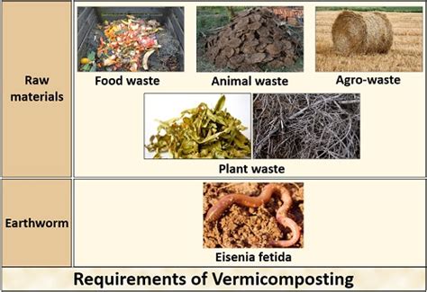 What is Vermicomposting? Meaning, Vermicompost, Requirements & Process ...