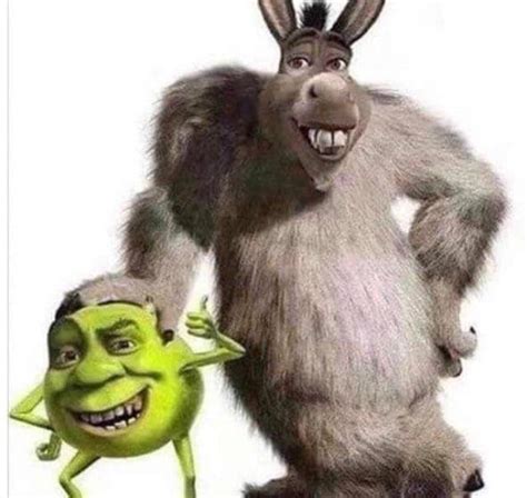 Shrek Wazowski and Donkey P Sullivan : r/Shrek