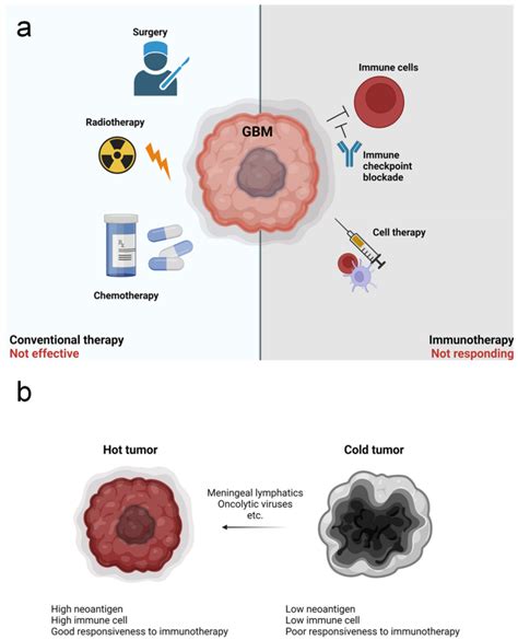 Therapeutic approaches for glioblastoma multiforme (GBM) and hurdles to ...