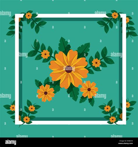 arrangement flowers floral decoration frame card image Stock Vector Image & Art - Alamy