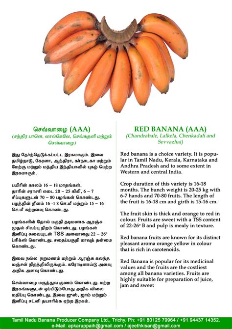 Red Banana