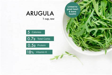 Arugula Nutrition: Benefits, Calories, Warnings and Recipes | livestrong