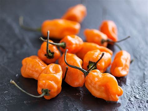 Bhut Jolokia Naga Orange Ghost Chili Pepper 20_seeds - Etsy