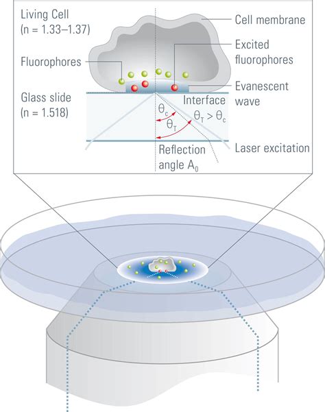 Total Internal Reflection Fluorescence (TIRF) Microscopy | Science Lab ...