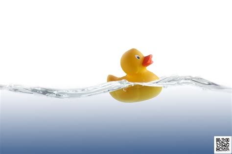 Rubber Ducky/Duckie Day | Dialect Zone International