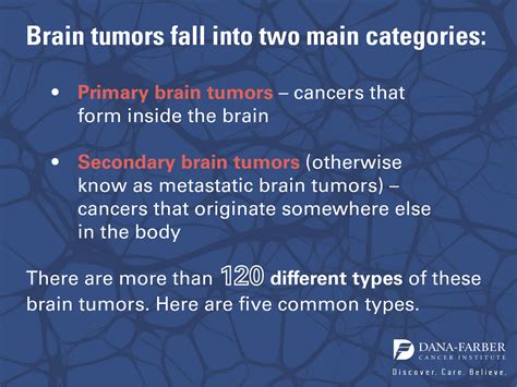 What Are the Most Common Brain Tumors? | Dana-Farber Cancer Institute