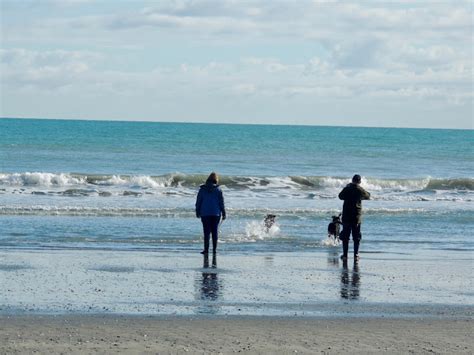 THE ROAD TAKEN : Otaki Beach To A Ferry-Adjacent Campground