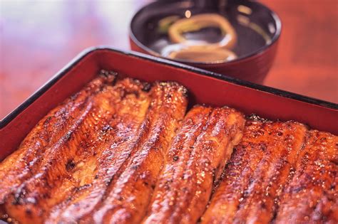 1+ Free Unagi Eel & Eel Photos - Pixabay