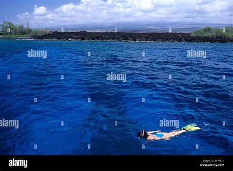 Snorkeling at Coast of Hawaii, Kona, Big Island, Hawaii, USA Stock ...