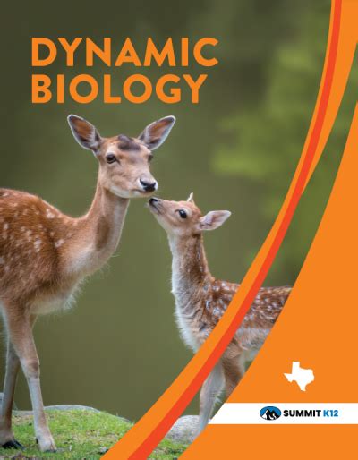 Summit K12 Dynamic Science Biology | Texas Resource Review