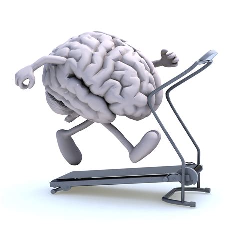 Brain Fitness Exercises for Healthy Brain Function