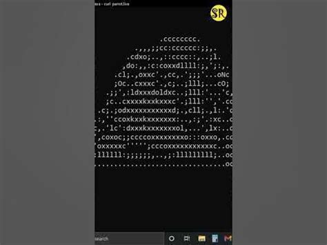 parrot dancing CMD (command prompt) | CMD - Easter egg - parrot.live # ...