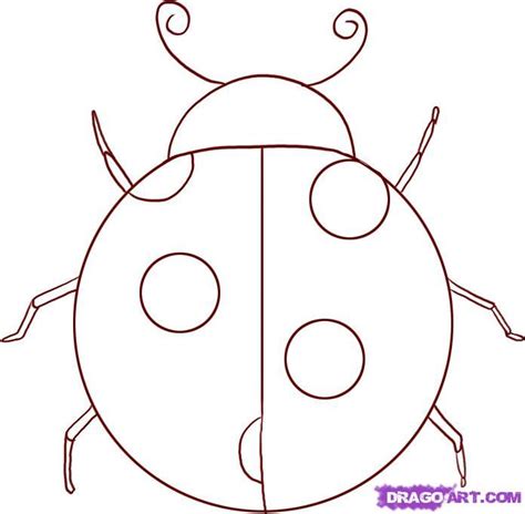 Free Ladybug Drawing, Download Free Ladybug Drawing png images, Free ClipArts on Clipart Library