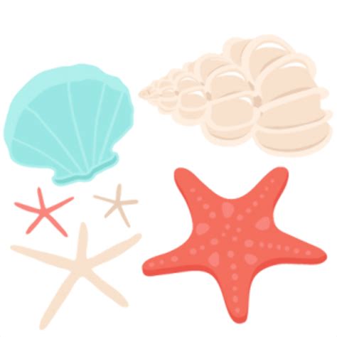 Download High Quality beach clipart seashell Transparent PNG Images - Art Prim clip arts 2019