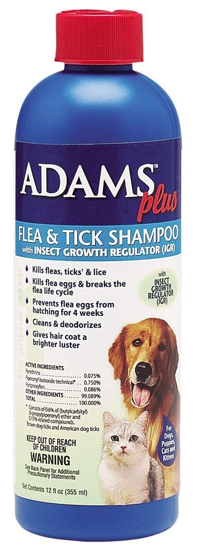 Best Flea Treatment for Dogs: What Actually Works | Therapy Pet