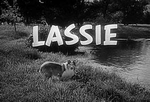 Lassie (serie de televisión de 1954) - Lassie (1954 TV series) - abcdef ...