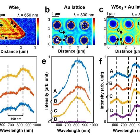 Cathodoluminescence spectroscopy of the plexcitonic crystal. (a) The ...