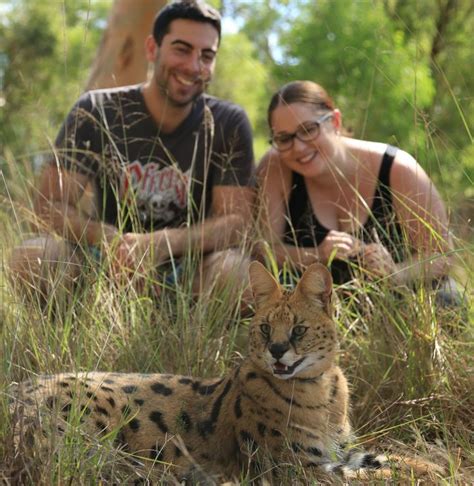 Wild Cat Conservation Centre | Wild Cat & Cheetah Conservation | Wild ...