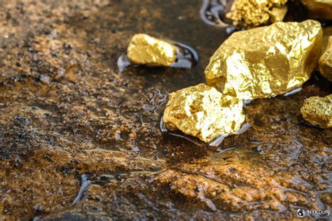 The Process of Finding and Refining Raw Gold - NYK Daily