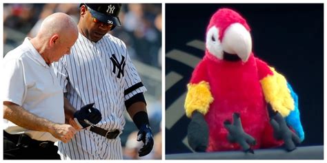 Edwin Encarnacion's stuffed parrot is wearing a cast | MLB.com