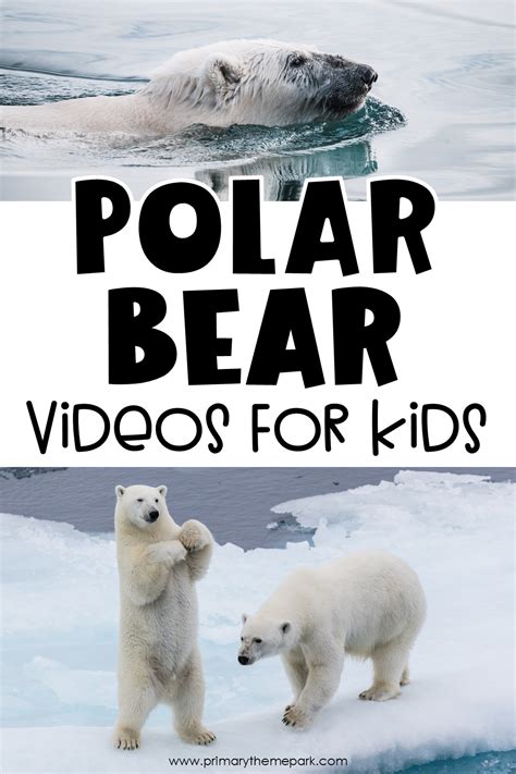 Polar Bear Videos for Kids - Primary Theme Park