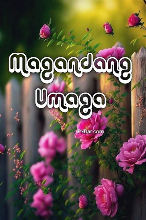 1300+ Magandang Umaga mga larawan at Wallpaper HD 2024 » PxBar.com