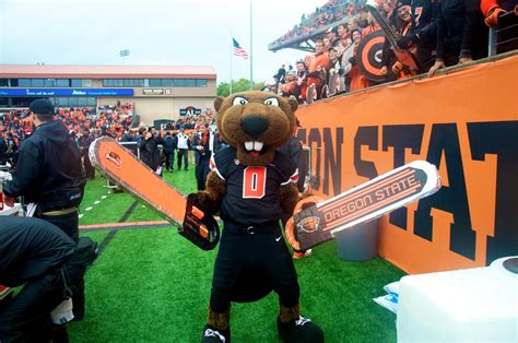 Benny Beaver on Twitter: "I LOVE football season! #TBT #Chainsaw http://t.co/QwI71O5tXm" / Twitter