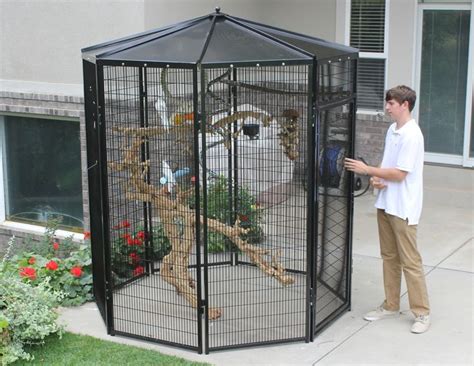 17 Best images about Outdoor Aviaries on Pinterest | Geodesic dome, Quails and Play gym