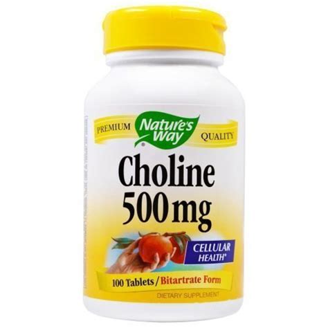 Nature's Way, Choline, 500 mg, 100 Tablets | By iHerb