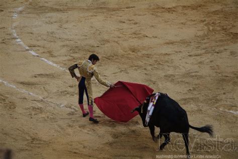 Bullfights | ReVista