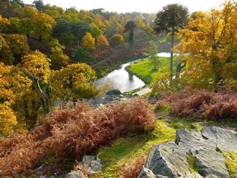 Bradgate Park, in Leicestershire. Lady Jane Grey grew up here, before ...