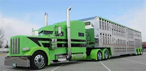 Bull Hauler | Big trucks, Custom big rigs, Trucks