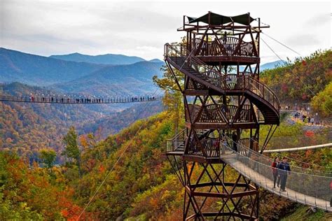 people are walking on a high walkway above the trees in the mountains ...