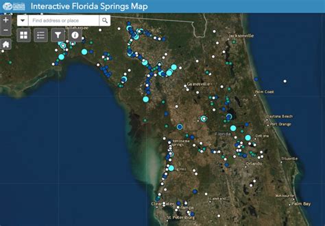 Top 7 Florida Springs to Visit: Refreshing Water, Manatees, & Camping!