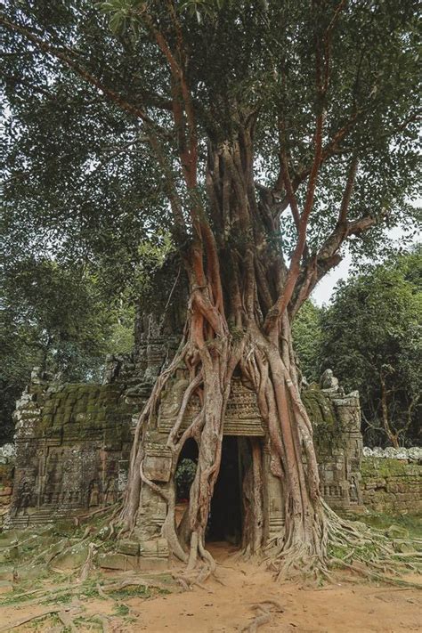 The Ultimate 1-Day Guide to Angkor Wat Temples | Angkor wat temple ...