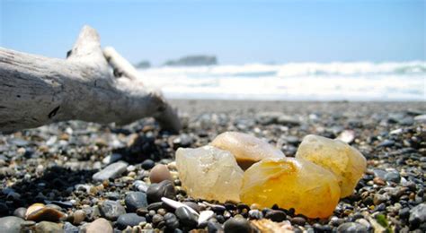 Agate Hunting on the Oregon Coast – Fun Beach Fun