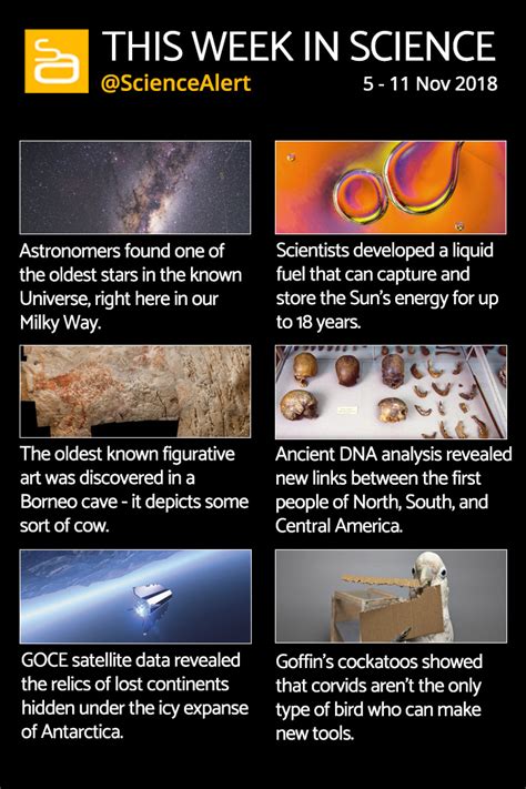 Infographic: Here's What Was Important in Science News This Week : ScienceAlert