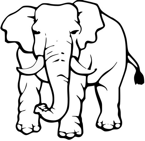 elephant clipart black and white - Google Search | Elefantes para colorear, Páginas para ...