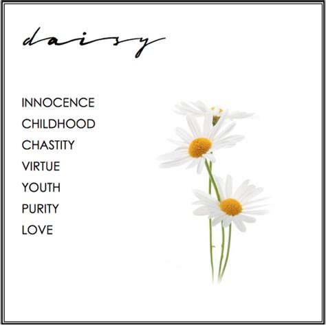 Design Theme Symbolism. Learn the meaning behing our designs. | Daisy flower meaning, Daisy love ...