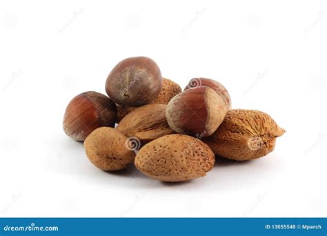 Assorted nuts stock photo. Image of healthy, amaretto - 13055548