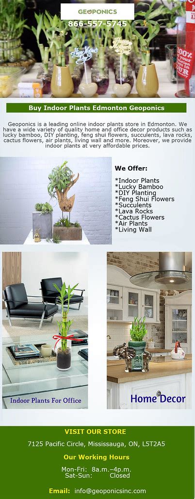 Buy Indoor Plants in Edmonton Geoponics | Geoponics is reput… | Flickr