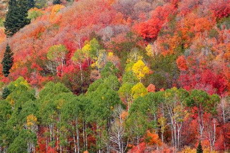 Mountain fall colors stock image. Image of mountains, wilderness - 267513